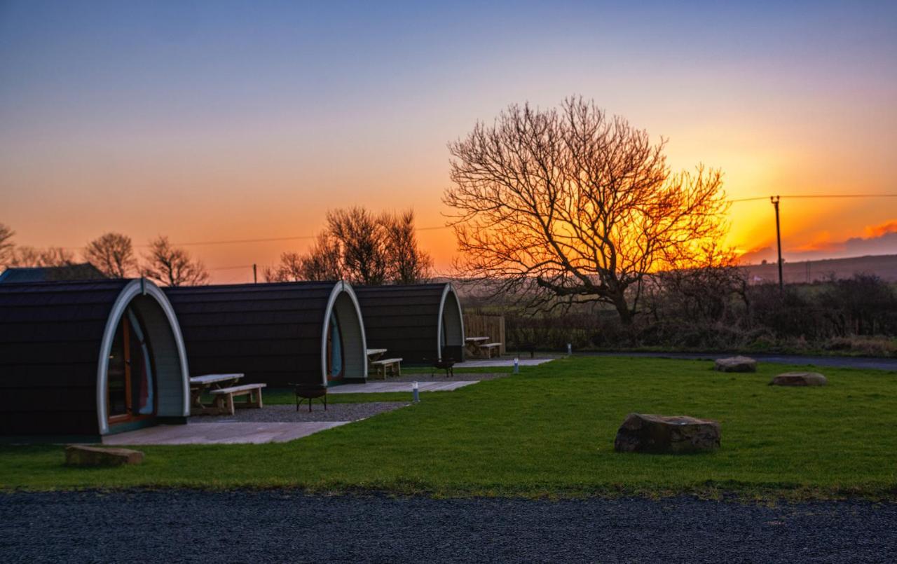 Causeway Country Pods Hotell Bushmills Eksteriør bilde
