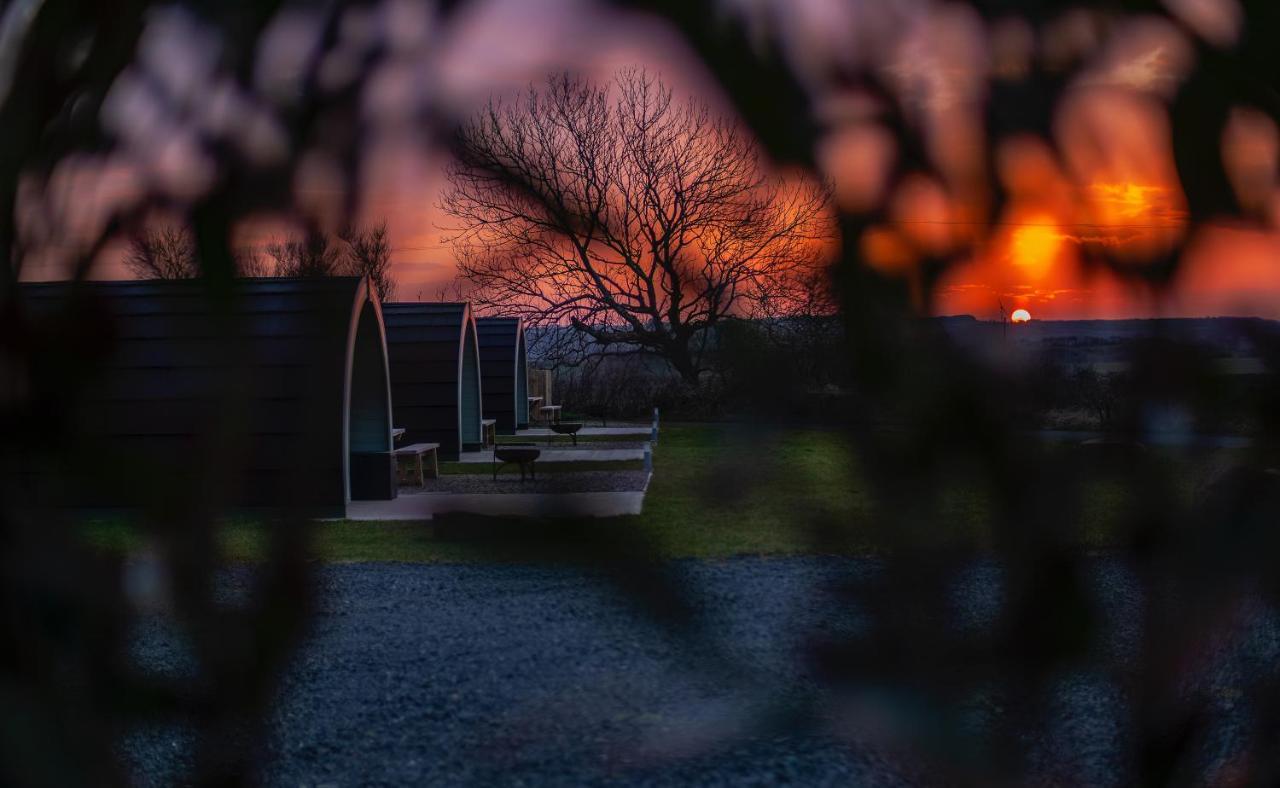 Causeway Country Pods Hotell Bushmills Eksteriør bilde