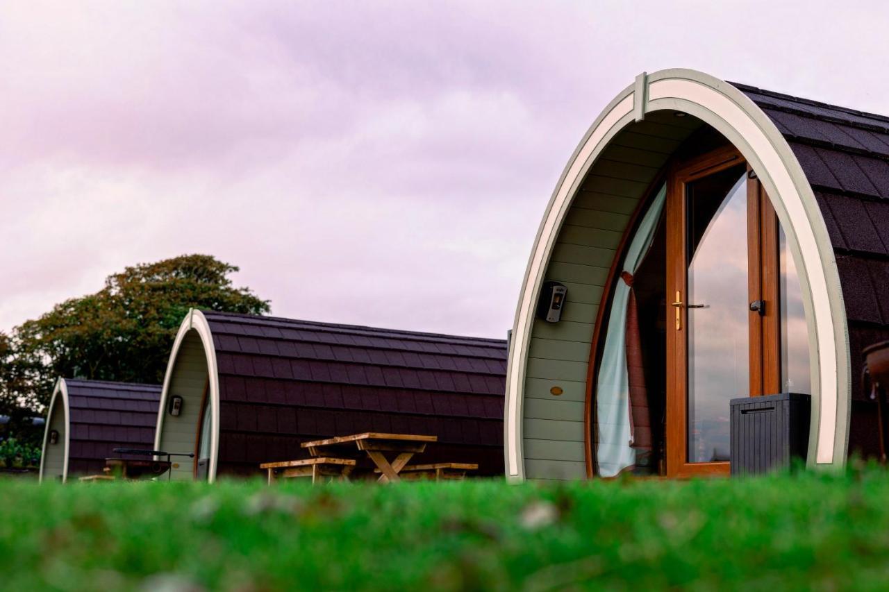 Causeway Country Pods Hotell Bushmills Eksteriør bilde